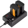 NP FZ100 Dual Slot Quick Battery Charger And 2 Battery Kit
